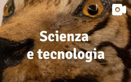 Scienza e tecnologia