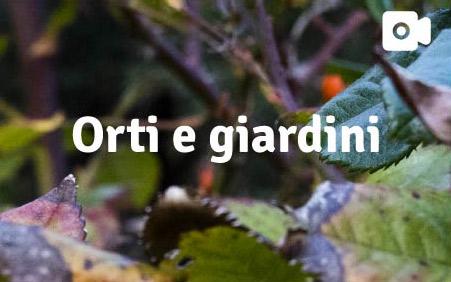 Orti e giardini